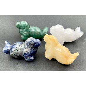 Mineralsten søløve