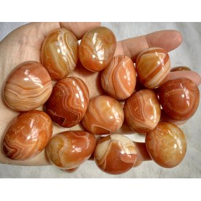 Sukkekogt karneol palmsten