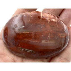 Forstenet tr palmsten-3