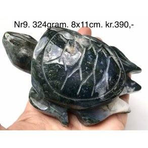 Mos agat skildpadde-9