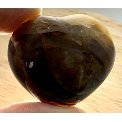 Golden healer hjerte-26