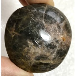 Sort mnesten palmsten-9