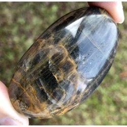 Sort mnesten palmsten-17