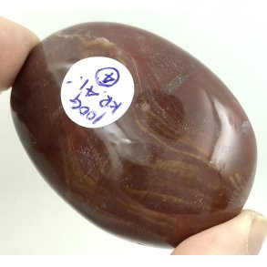 Forstenet tr palmsten-4