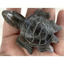 Mos agat skildpadde-1