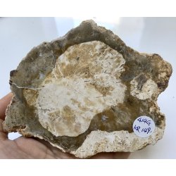 Forstenet tr skive-10