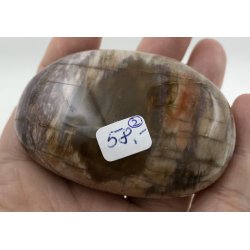 Forstenet tr palmsten-2