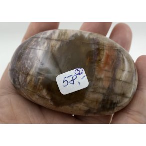 Forstenet tr palmsten-2