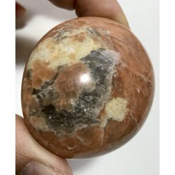 Fersken mnesten palmsten-15