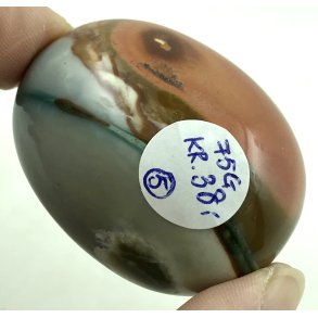 Polychorme jaspis palmsten -5