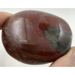 Forstenet tr palmsten-9