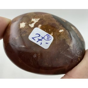 Forstenet tr palmsten-8