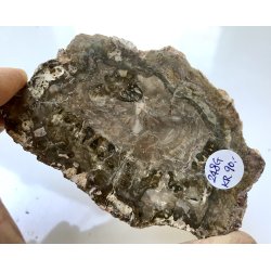 Forstenet tr skive-6