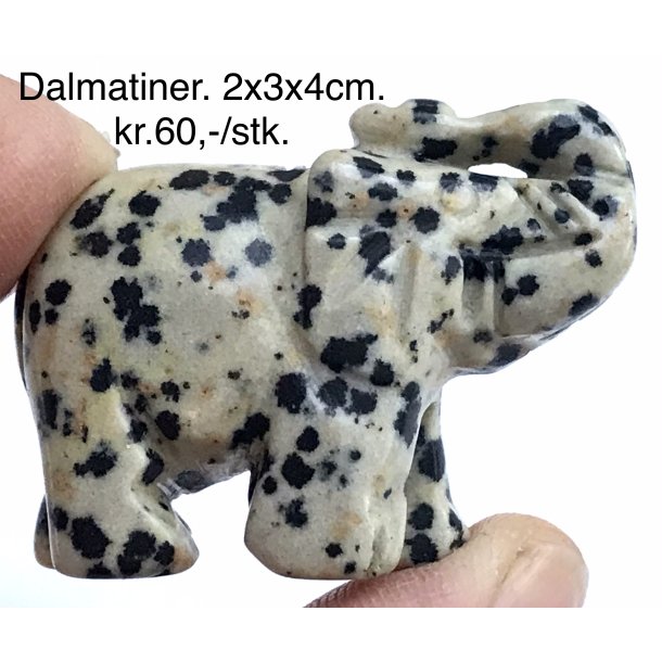 Dalmatiner