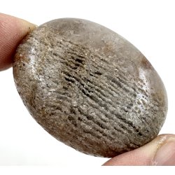 Lodolit kvarts palmsten-5