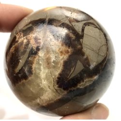 Septarie kugle-13