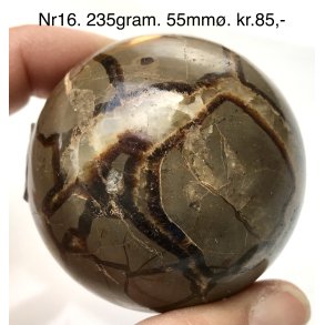 Septarie kugle-16