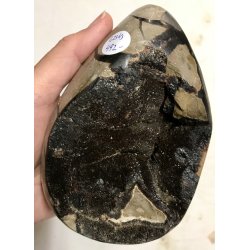 Septarie krystal g -15