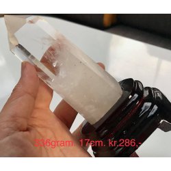 Mellem stor bjergkrystal trn-3