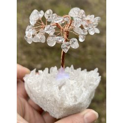 Krystal tr-bjergkrystal fod+bjergkrystal