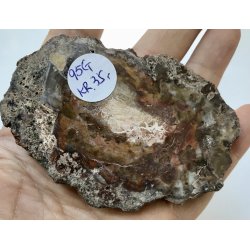 Forstenet tr skive-16