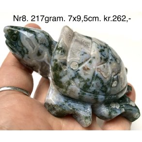 Mos agat skildpadde-8