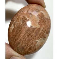 Fersken mnesten palmsten-7