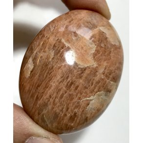 Fersken mnesten palmsten-7