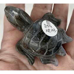 Mos agat skildpadde-1