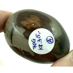 Polychorme jaspis palmsten -4