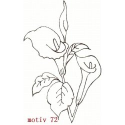 t-time lady t-shirts. med motiv, 15-5300