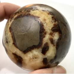 Septarie kugle-5
