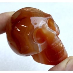 Karneol kranie. 2x3x5cm. 