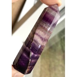 Multi regnbue flourit trn-10