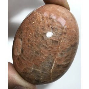 Fersken mnesten palmsten-13