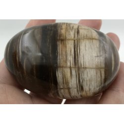 Forstenet tr palmsten-2