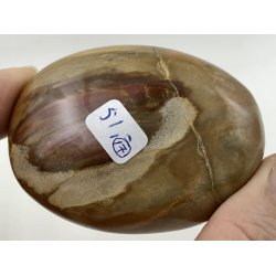 Forstenet tr palmsten-17