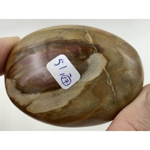 Forstenet tr palmsten-17