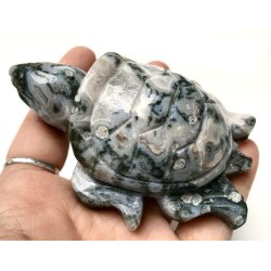 Mos agat skildpadde-8