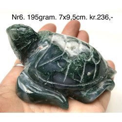 Mos agat skildpadde-6