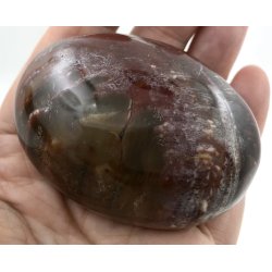 Forstenet tr palmsten-1