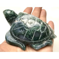Mos agat skildpadde-6