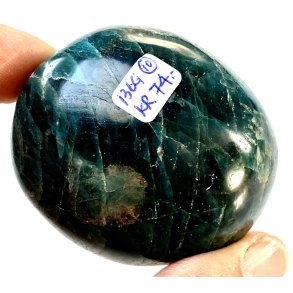 Bl apatit palmsten-10