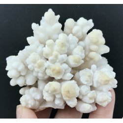 Stalagmit klynge 239gram. 