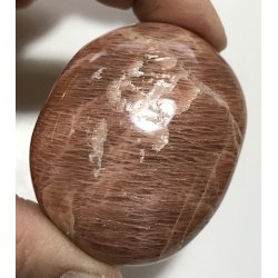 Fersken mnesten palmsten-6