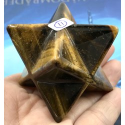 Tigerje makaba stjerne-11