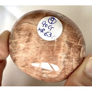 Fersken mnesten palmsten-9