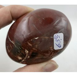 Forstenet tr palmsten-1