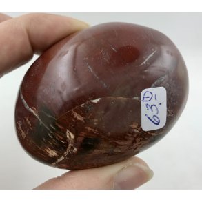 Forstenet tr palmsten-1