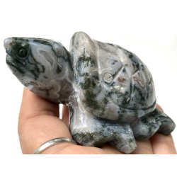 Mos agat skildpadde-8